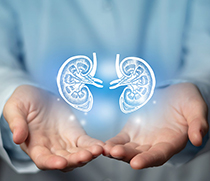 Symbolfoto Nephrologie